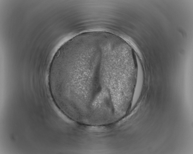 X0000113540805200910091242