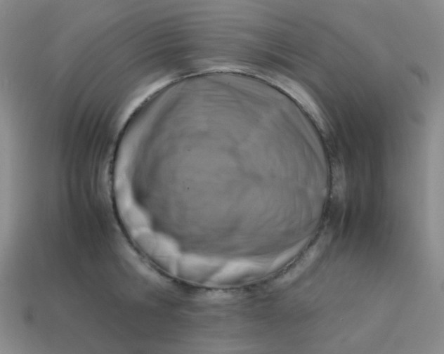 X0000113540806200910091242