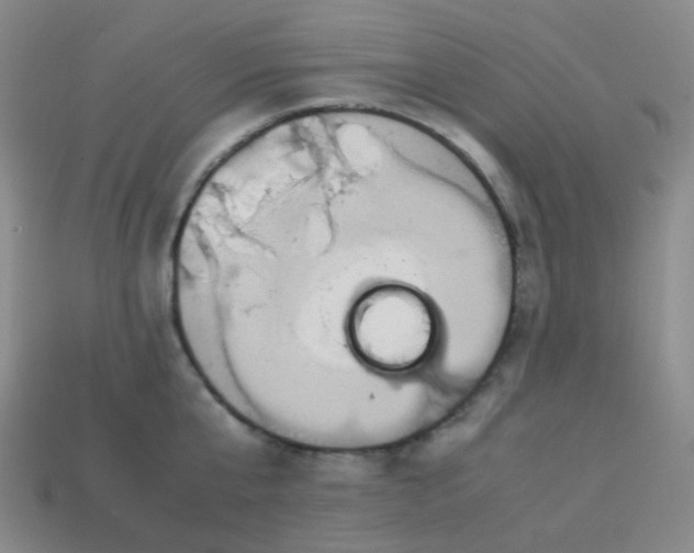 X0000113540807200910091242