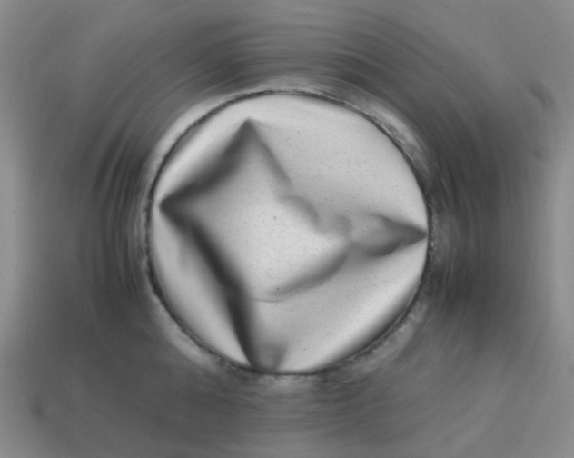 X0000113540808200910091242