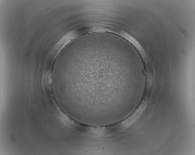 X0000113540809200910091242