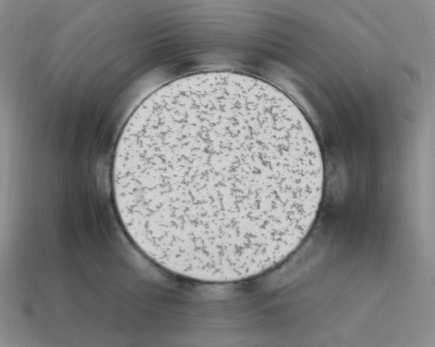 X0000113540810200910091242