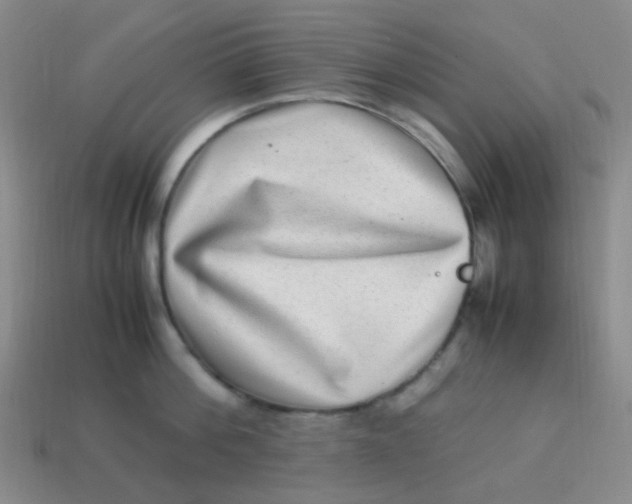 X0000113540812200910091242