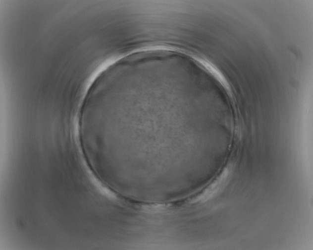 X0000113540813200910091242