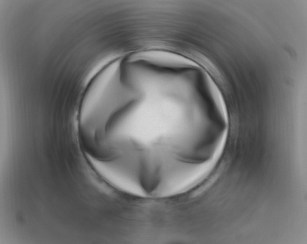 X0000113540814200910091242