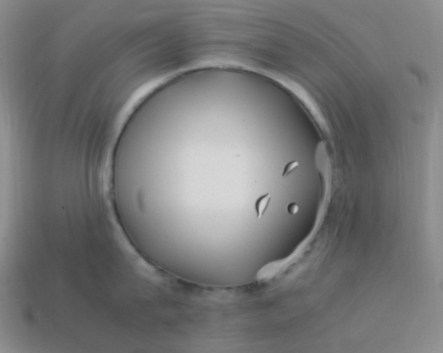 X0000113540815200910091242