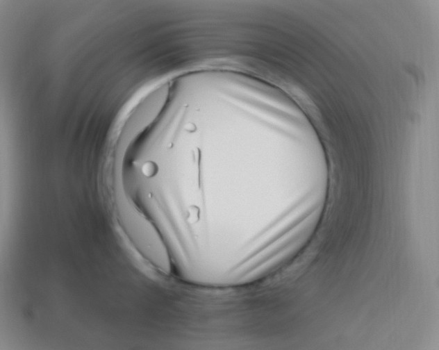 X0000113540816200910091242