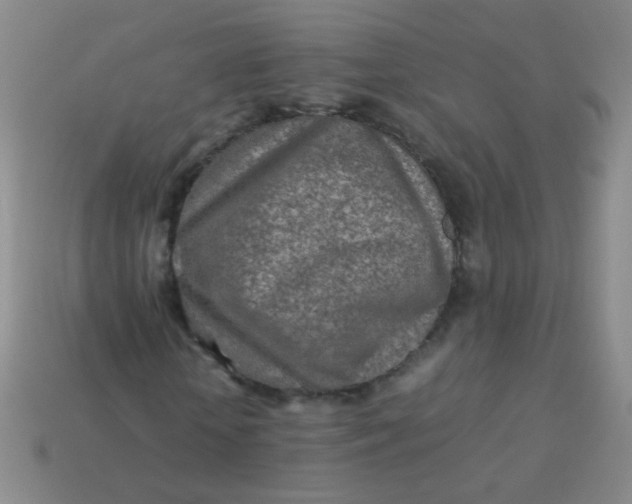 X0000113540818200910091241