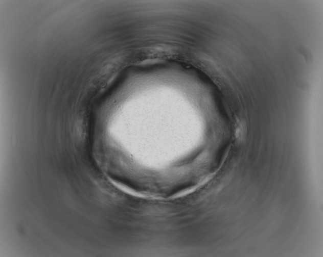 X0000113540819200910091241