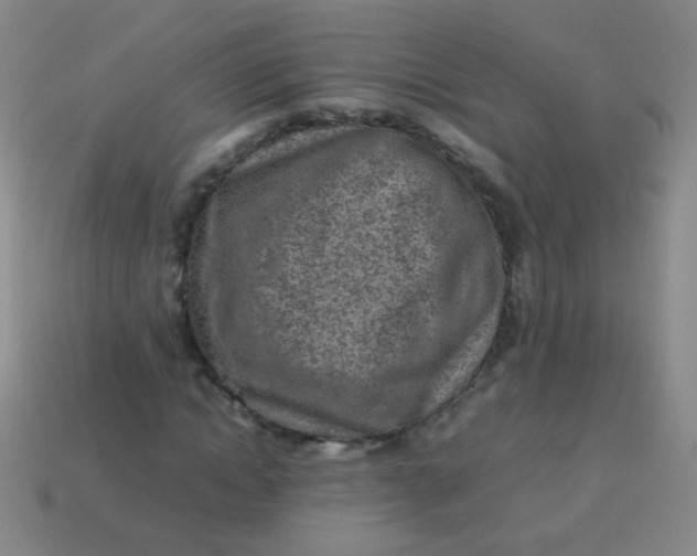 X0000113540822200910091241