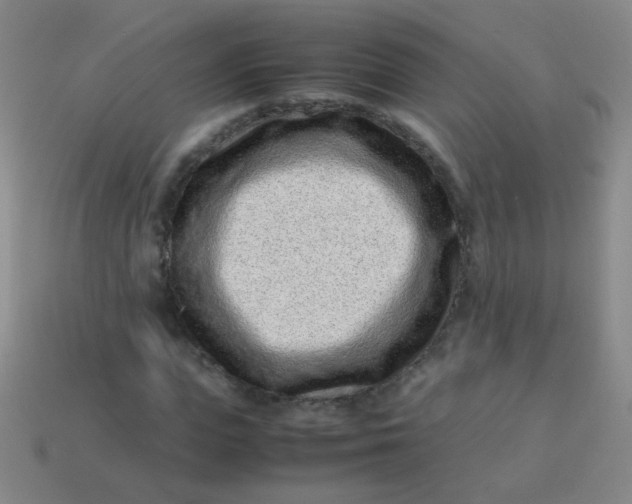 X0000113540823200910091241