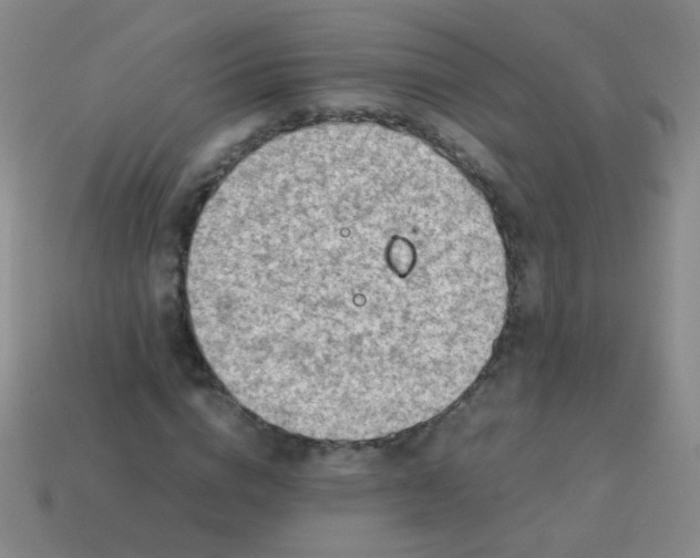 X0000113540824200910091241