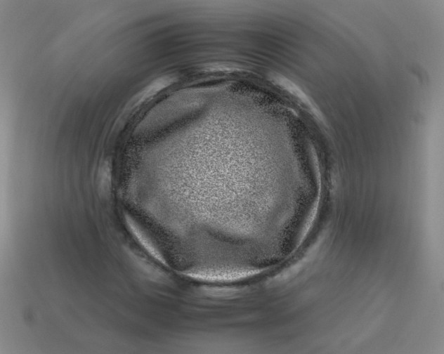 X0000113540825200910091241