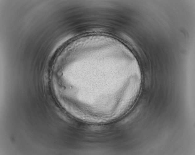 X0000113540827200910091241