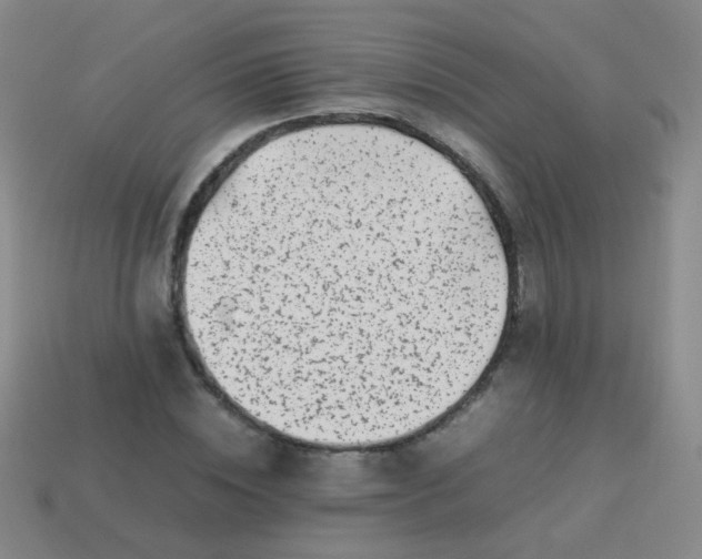 X0000113540828200910091241