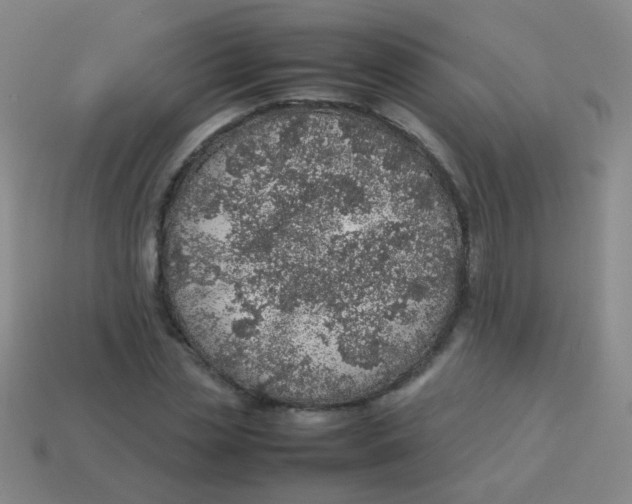 X0000113540829200910091241