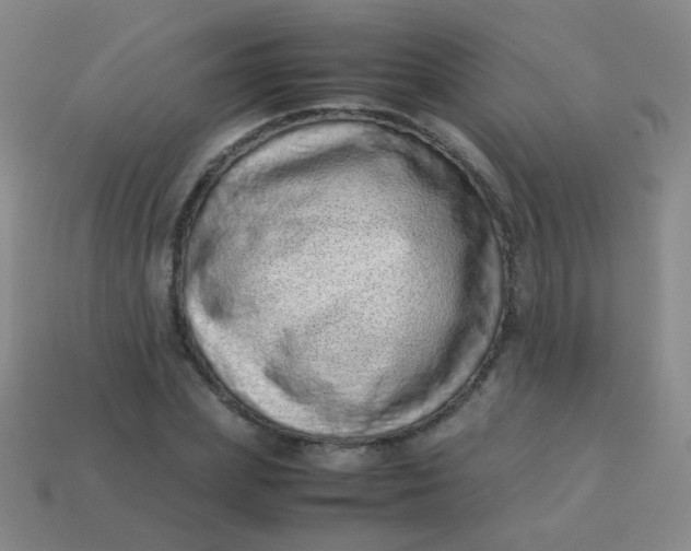 X0000113540831200910091241