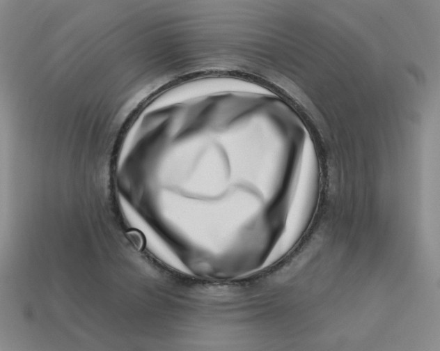 X0000113540834200910091241