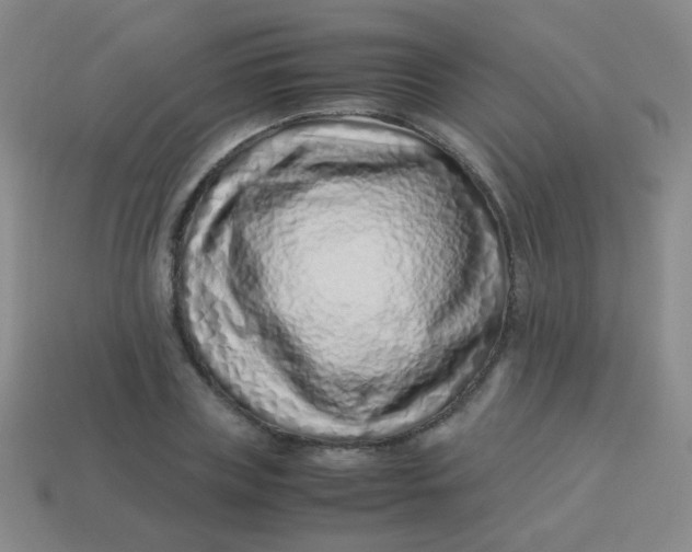 X0000113540835200910091241