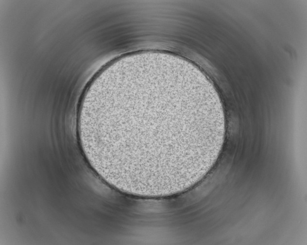 X0000113540836200910091241