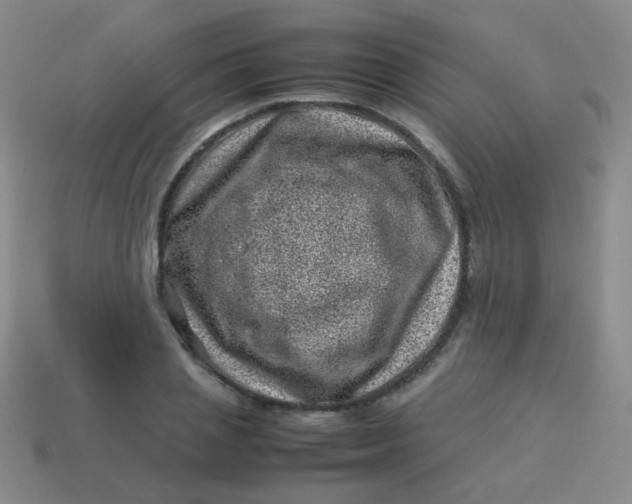 X0000113540837200910091241