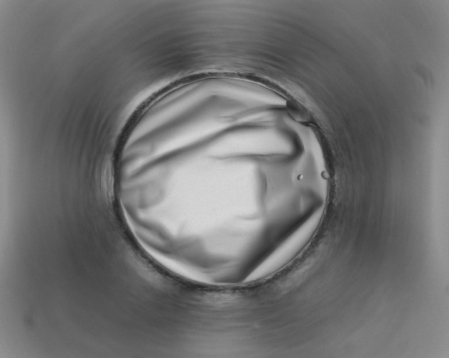 X0000113540838200910091241