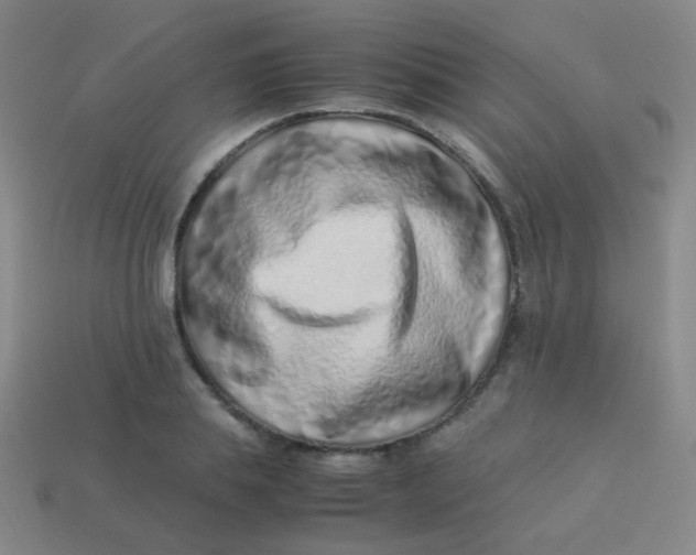 X0000113540839200910091241