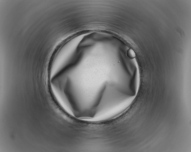 X0000113540840200910091242