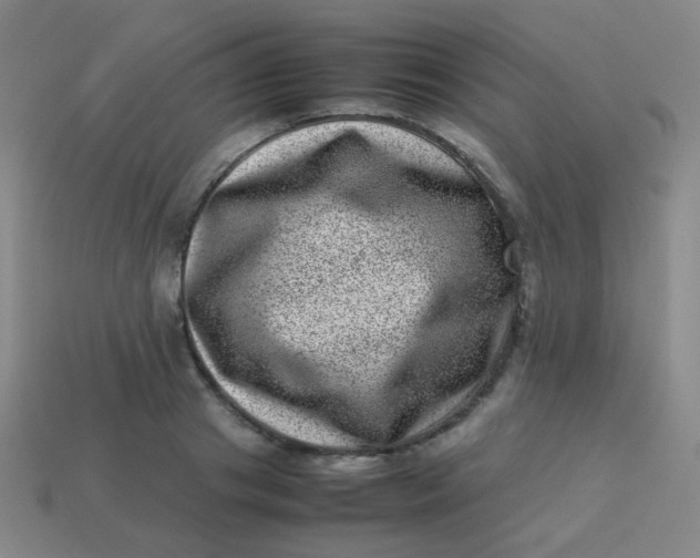 X0000113540841200910091242