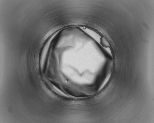 X0000113540842200910091242