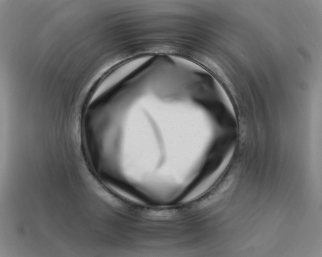 X0000113540843200910091242