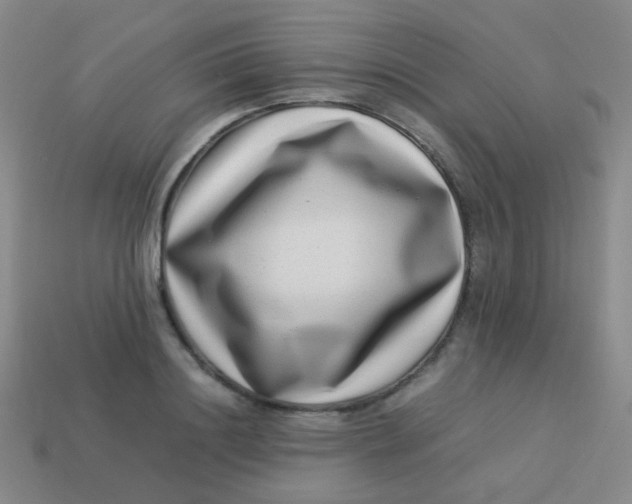 X0000113540844200910091242