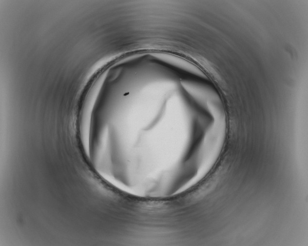 X0000113540846200910091242