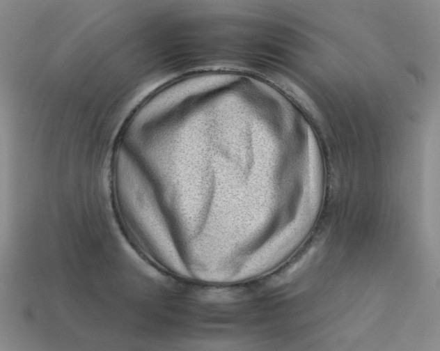 X0000113540847200910091242