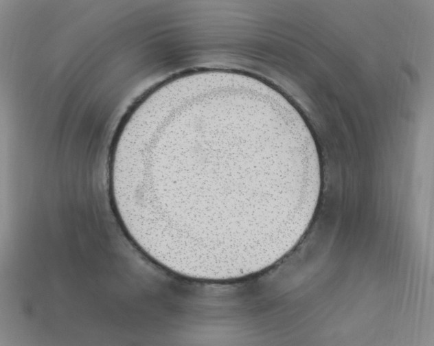 X0000113540848200910091242