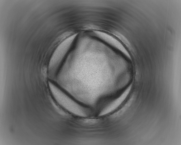 X0000113540849200910091242