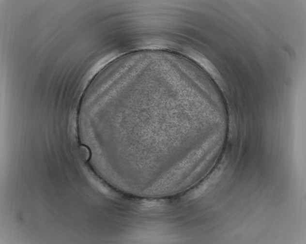 X0000113540850200910091242