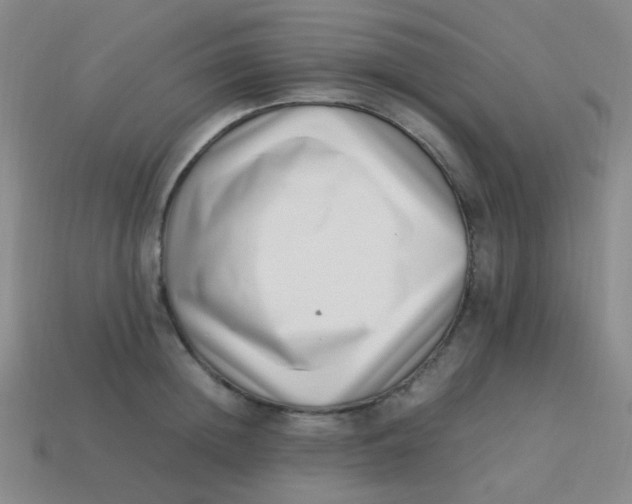 X0000113540852200910091242