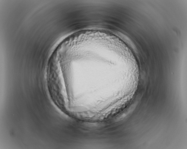 X0000113540855200910091242