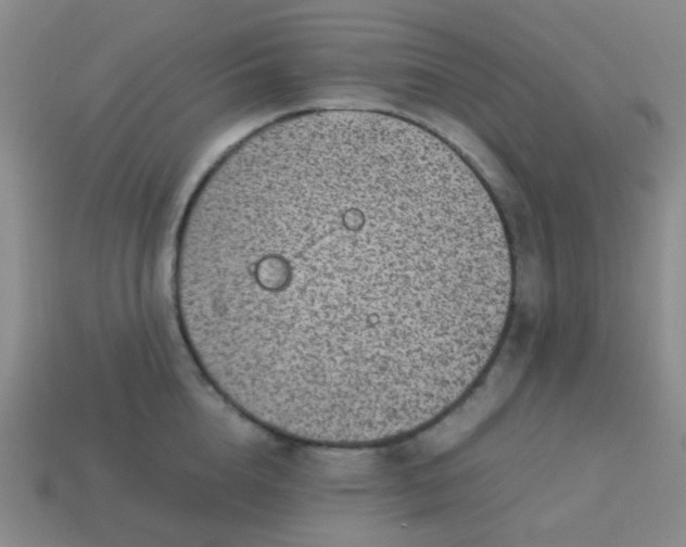 X0000113540856200910091242