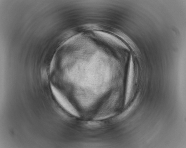 X0000113540857200910091242