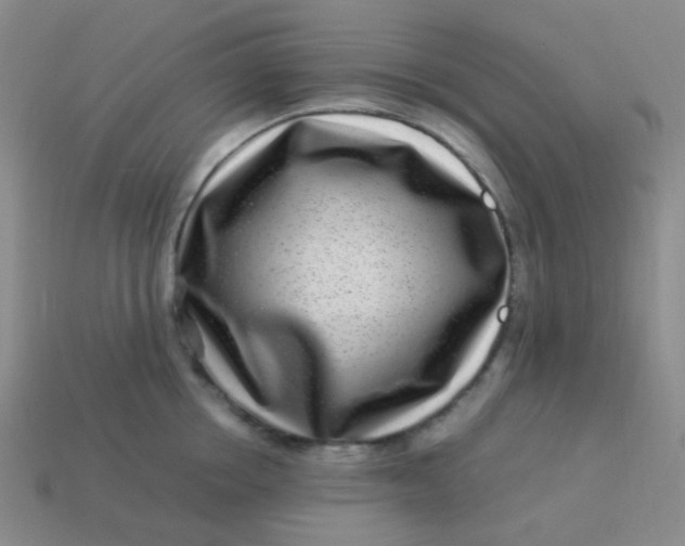 X0000113540858200910091242