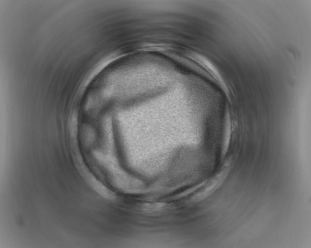 X0000113540859200910091242