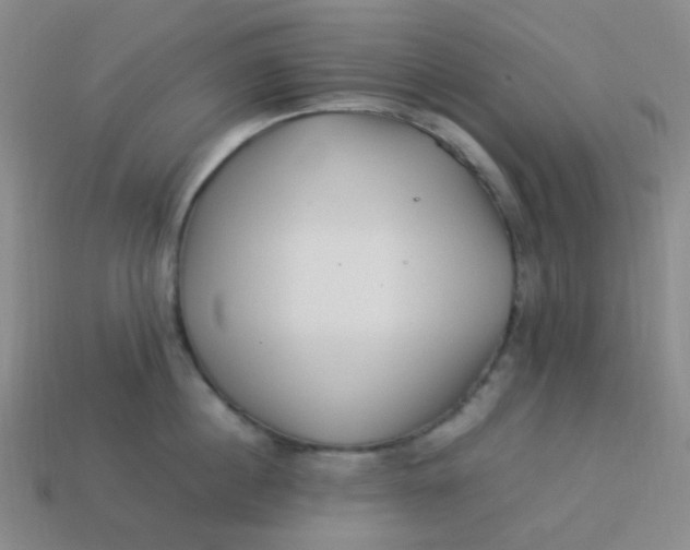 X0000113540860200910091242