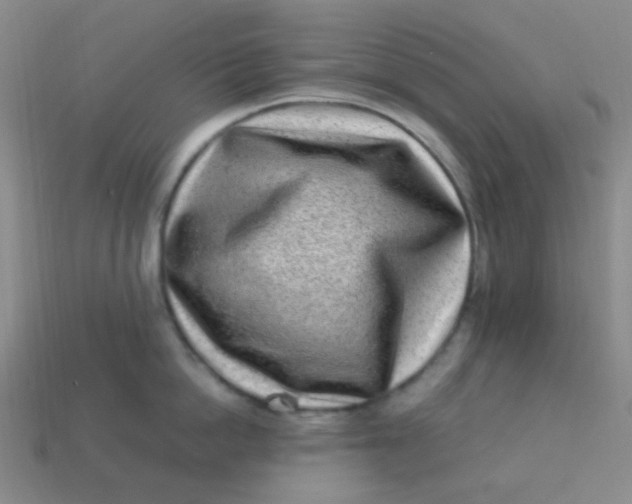 X0000113540862200910091242