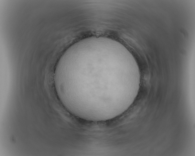 X0000113540865200910091241