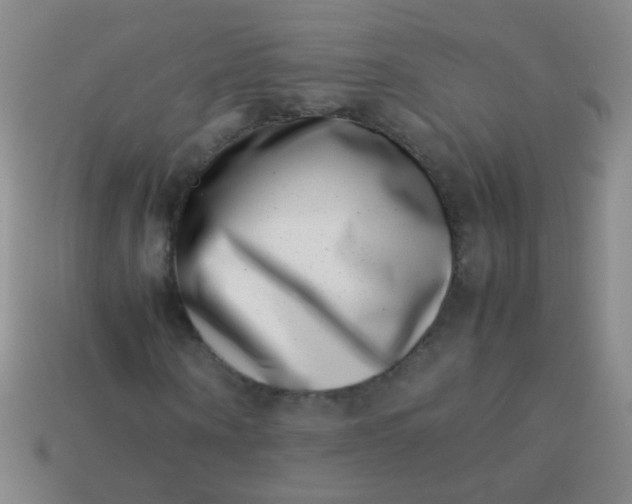 X0000113540866200910091241