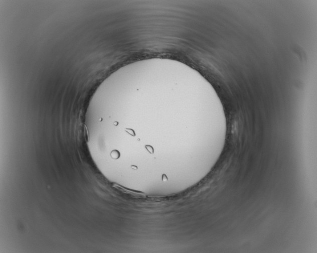 X0000113540868200910091241