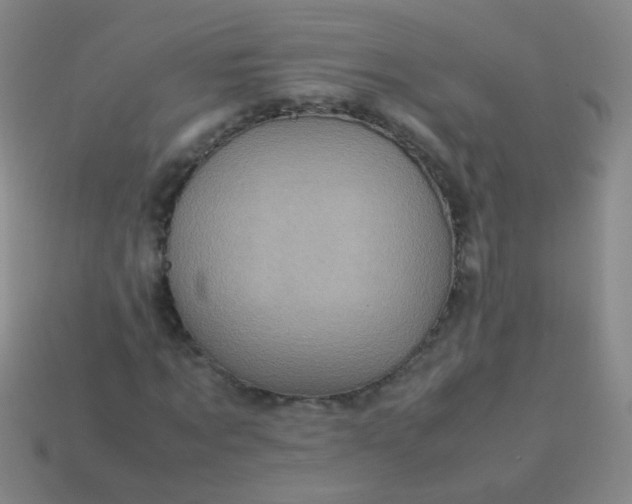 X0000113540869200910091241