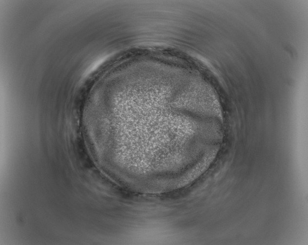 X0000113540871200910091241